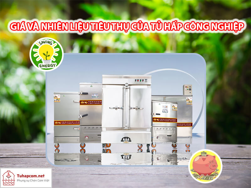 nhien-lieu-va-gia-tu-hap-dien-va-gas